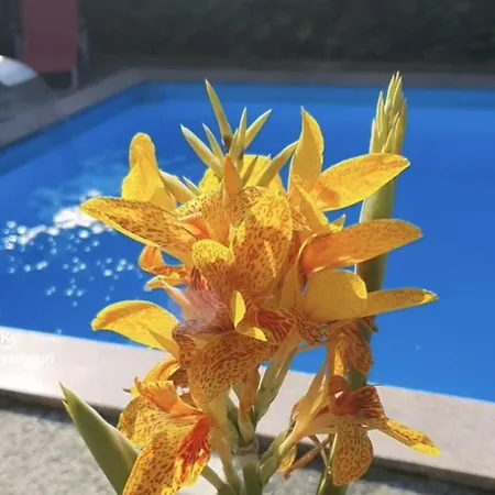 Murko P-2 Διαμέρισμα Brest