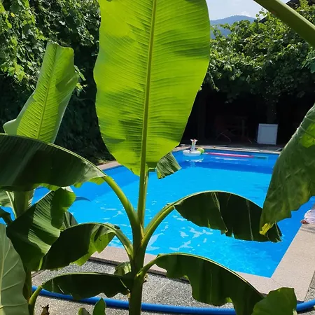 Διαμέρισμα Murko P-2