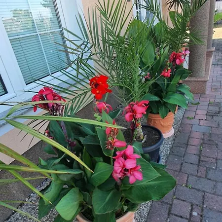 Murko P-2 Διαμέρισμα