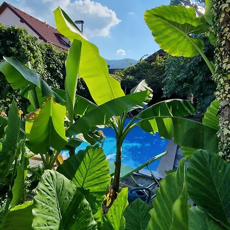 Διαμέρισμα Murko P-2 *