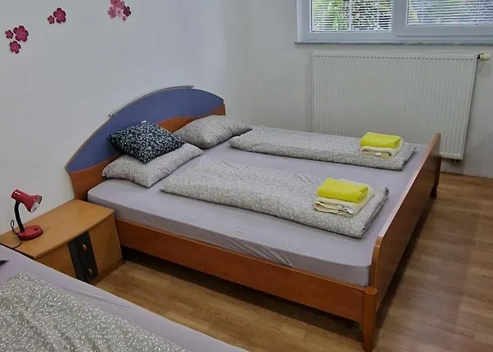 Daire Murko P-2 Brest