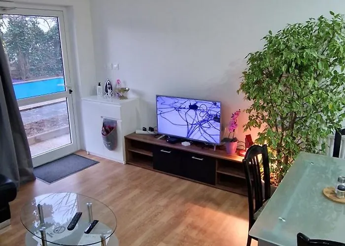 Murko P-2 Daire Brest