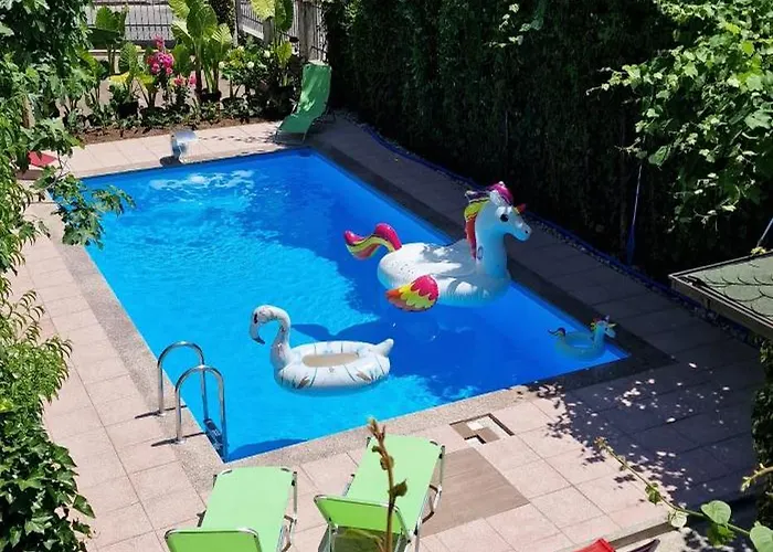 Daire Murko P-2 Brest